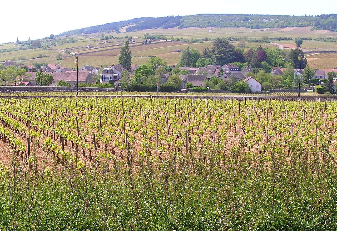 bourgogne