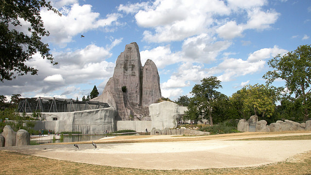 Grande volière zoo de Vincennes