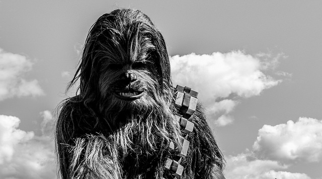 Chewbacca