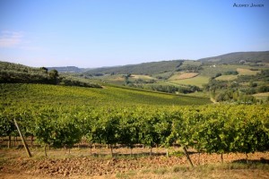 Toscane DreamTravelShoot 7