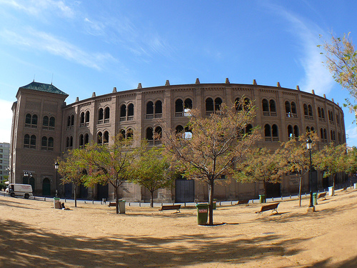 plaza d etoros