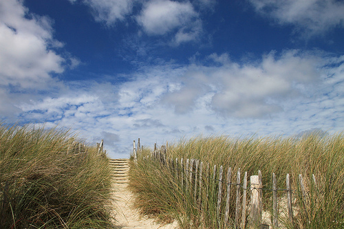Photo de Jeanne Menjoulet&Cie