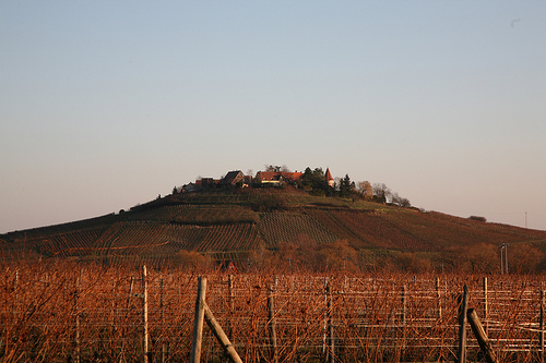 Photo de (vincent desjardins)