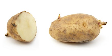 patate
