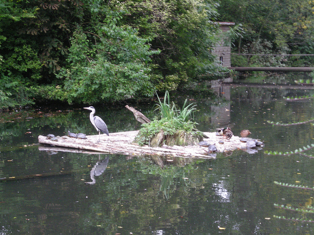 4983455462_2b26be5004_z