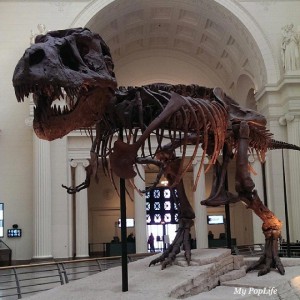 Sue-Chicago-Field-Museum