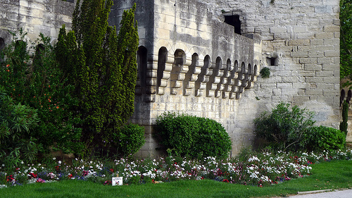 Photo de jean-louis zimmermann