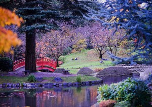 sieste jardins albert kahn