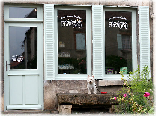 233664531_f9829c2802_o