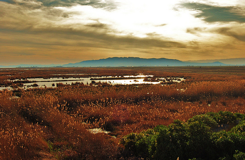 Flickr - MARIA ROSA FERRE