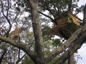 Cabane dans les arbres