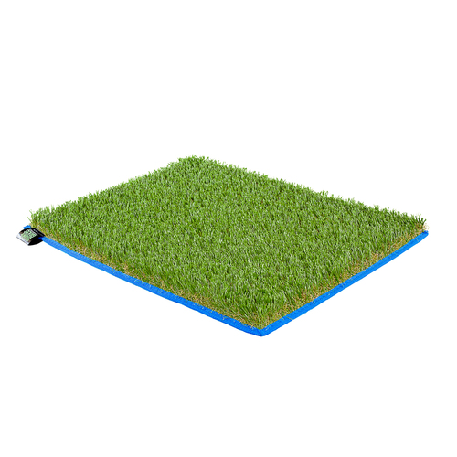 Tapis herbe