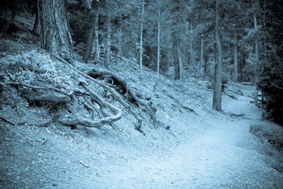 cf-Blair Witch was at mt.Charleston - IMG_7195 blair witch project
