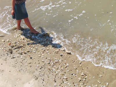 cf-sophie & cie plage