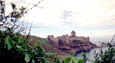 cf - Fiore Silvestro Barbato - fort