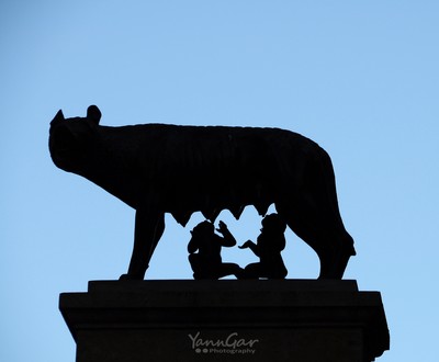 cf - Yann Gar - louve