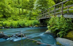 crédit photo-flickr- Lilly Bzh