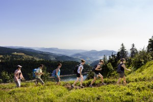 crédit photo- flickr-Vallée de Kaysersberg