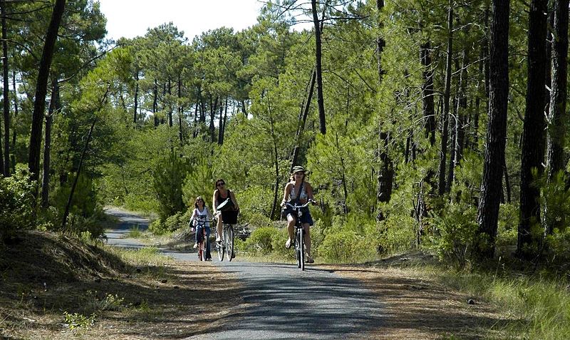 activités nature à l'île d'Oléron