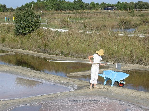 11- frédérique panassac