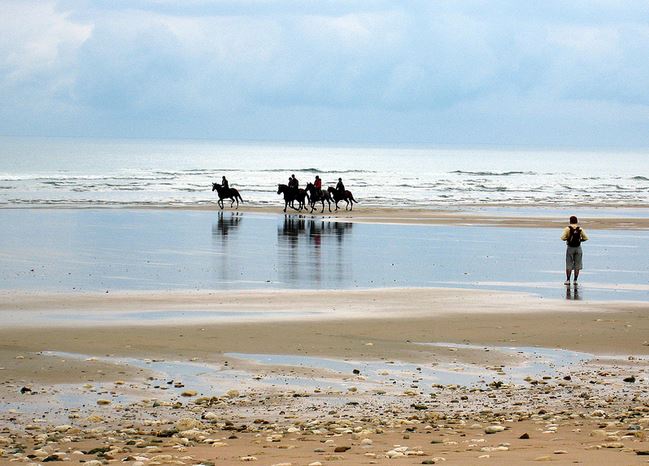 12 - frédérique voisin demery