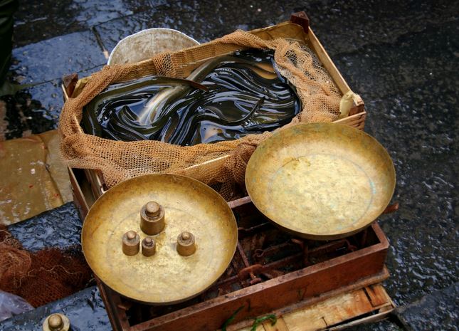 spécialités culinaires de l'île d'Oléron 3- stefano Mortellaro