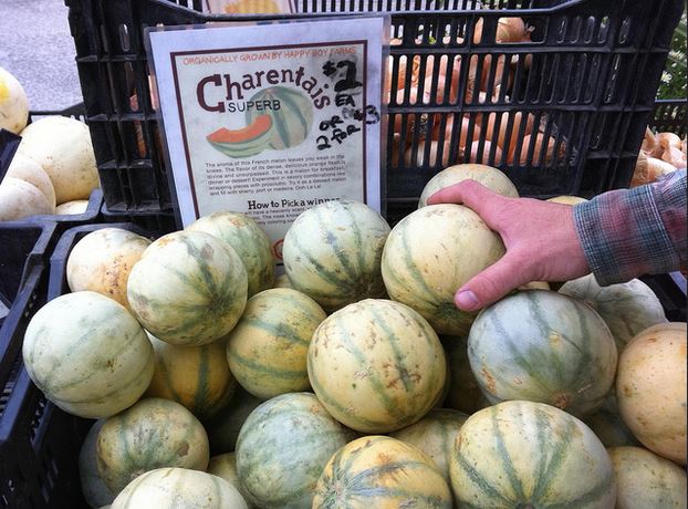 spécialités culinaires de l'île d'Oléron 4- nadine Schaeffer