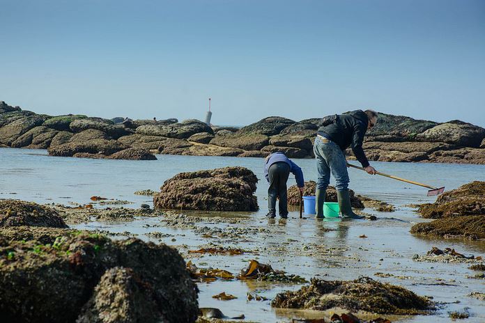 Pêche à pied 4- pierre guezingar