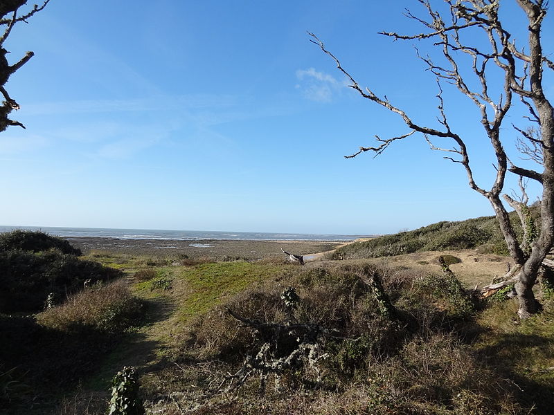 activités nature à l'île d'Oléron