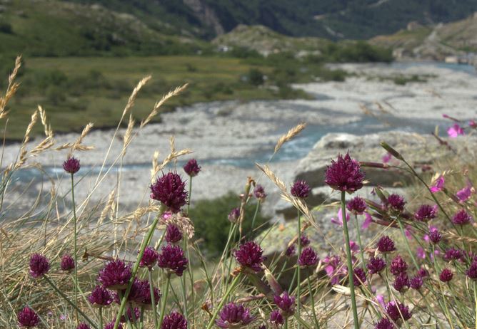 HM Vanoise 2 - Ancoline
