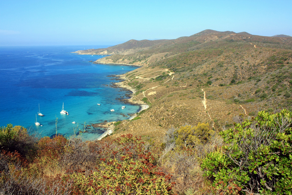 corse