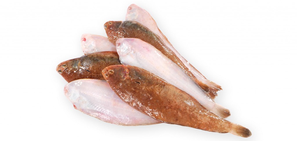 spécialités culinaires de l'île d'Oléron ceteaux