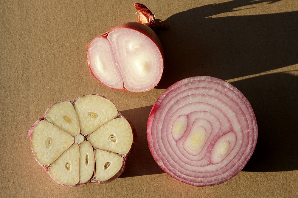 cf - Claude Valette - oignons