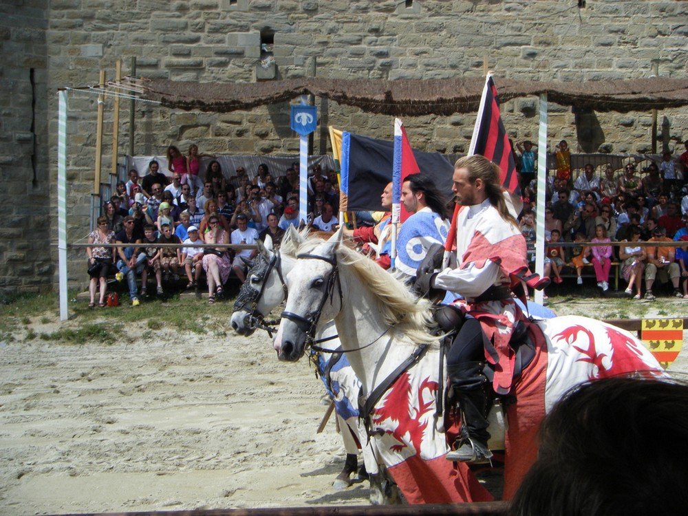 On remarque surtout la beauté du spectacle. Entre chevaliers et chevaux, le lien est là !