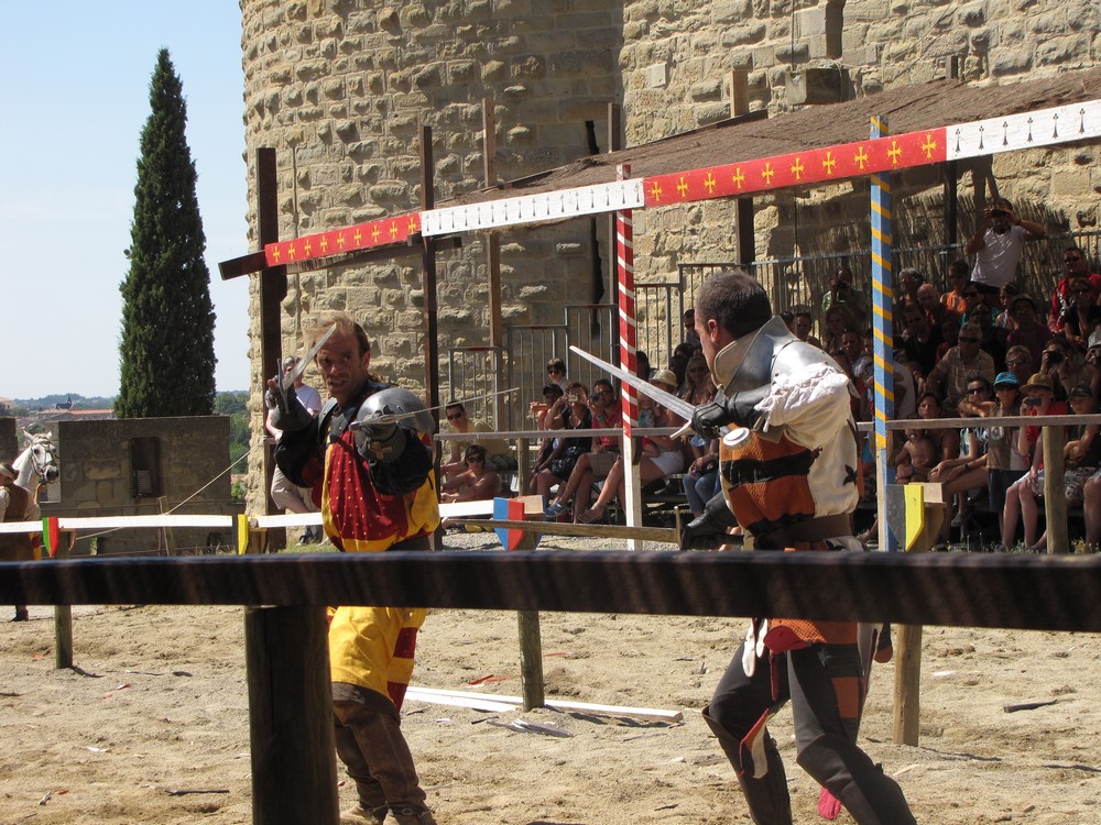 En garde, seul le plus valeureux survirera !