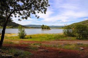 crédit photo -flickr- Revolweb