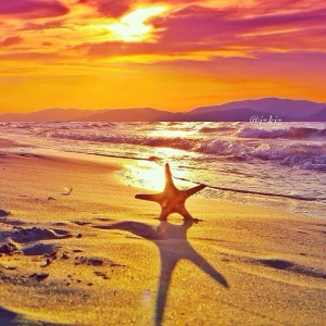 crédit photo -flickr-Wicker Paradise