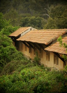 crédit photo- flickr - alpha du centaure