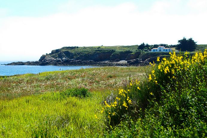 ile d'yeu - guillaume galdrat