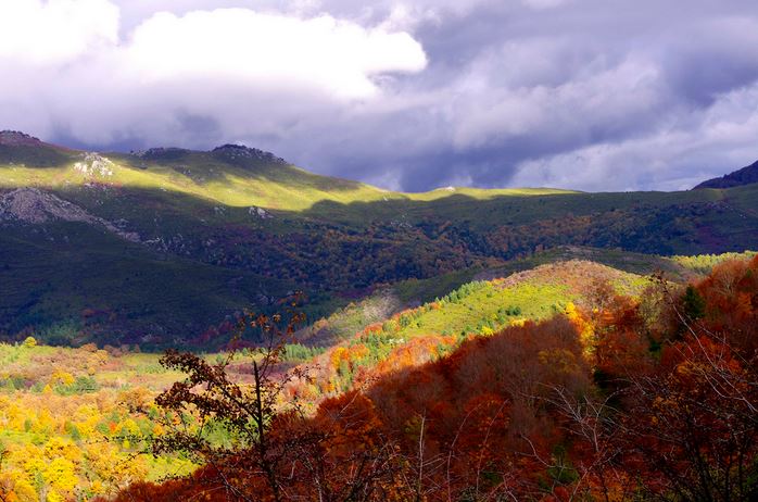 les couleurs de l'automne en Corse - cremona daniel