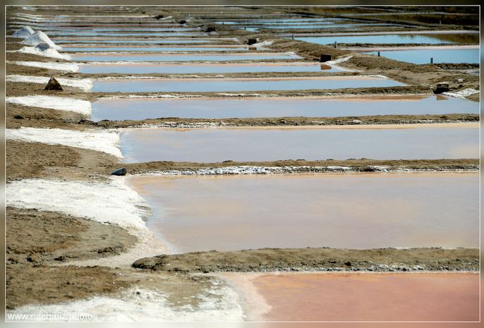 marais salant - -NACH-