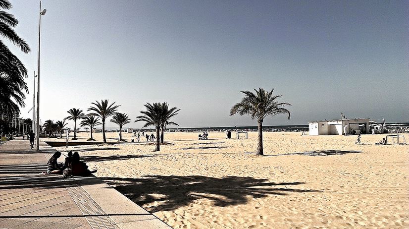 plage de gandie - el gatinvisible