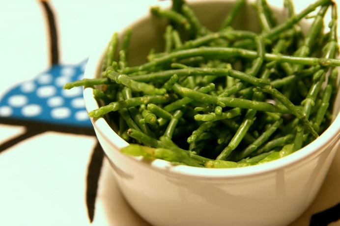 spécialités culinaires de l'île d'Oléron salicrone - johan Bryggare