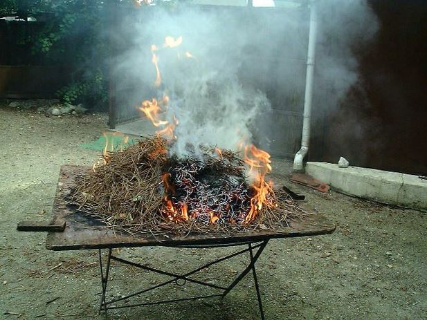 spécialités culinaires de l'île d'Oléron éclade - frédérique voisin demery
