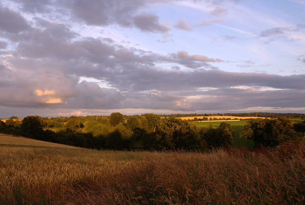 Campagne normande - Flickr - Tétard Olivier