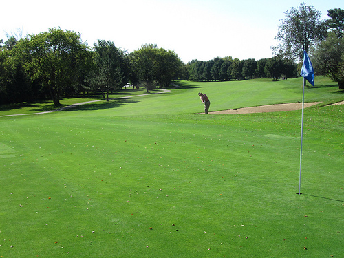 5006033598_46edbd4ff7