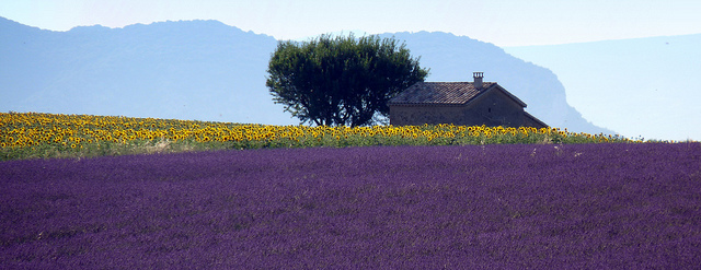 circuit alpes du sud