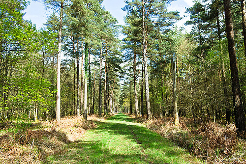 balades randonnées Bretagne