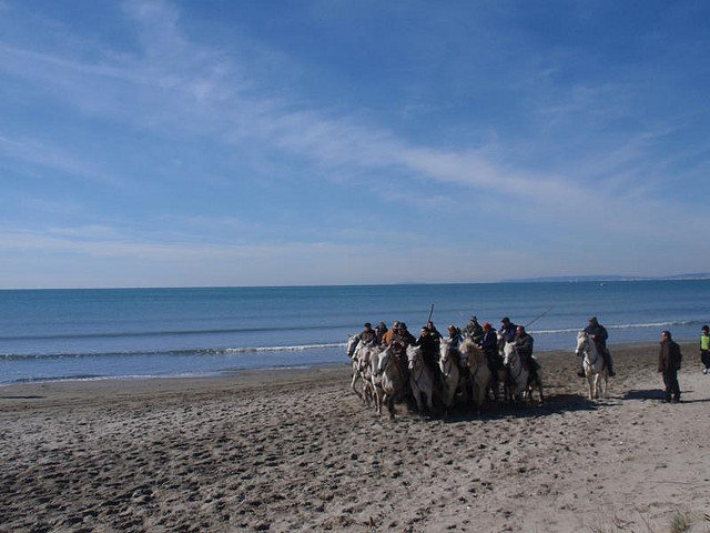 4414816386_409d78d2cc_z