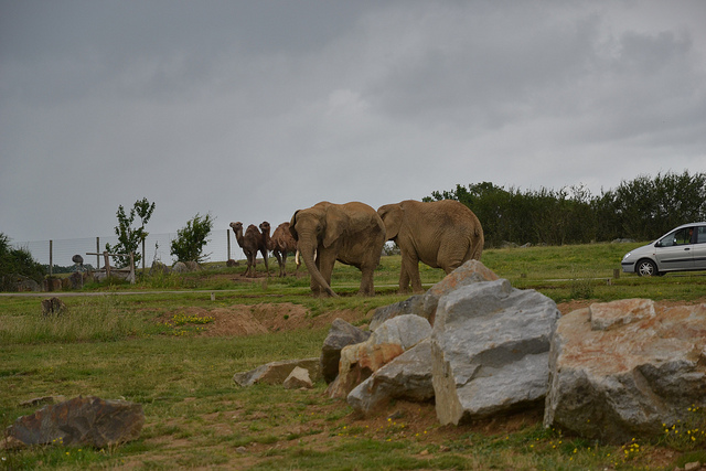 Séjour famille Loire-Atlantique